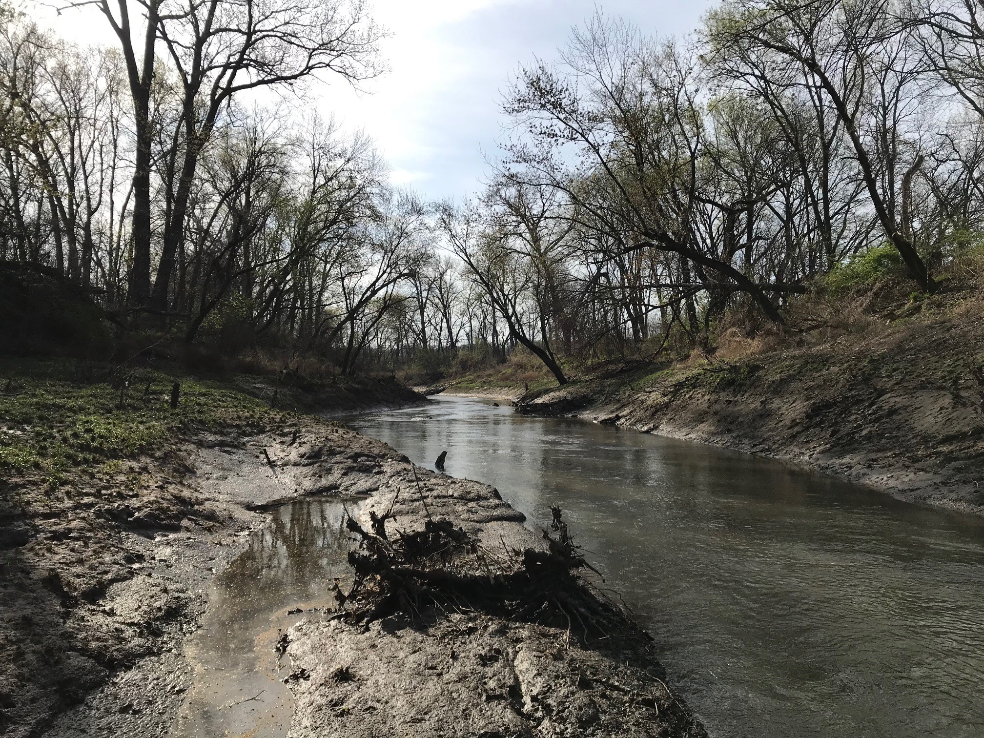Facing downstream at the lower Wakarusa River site, 6 April 2021.