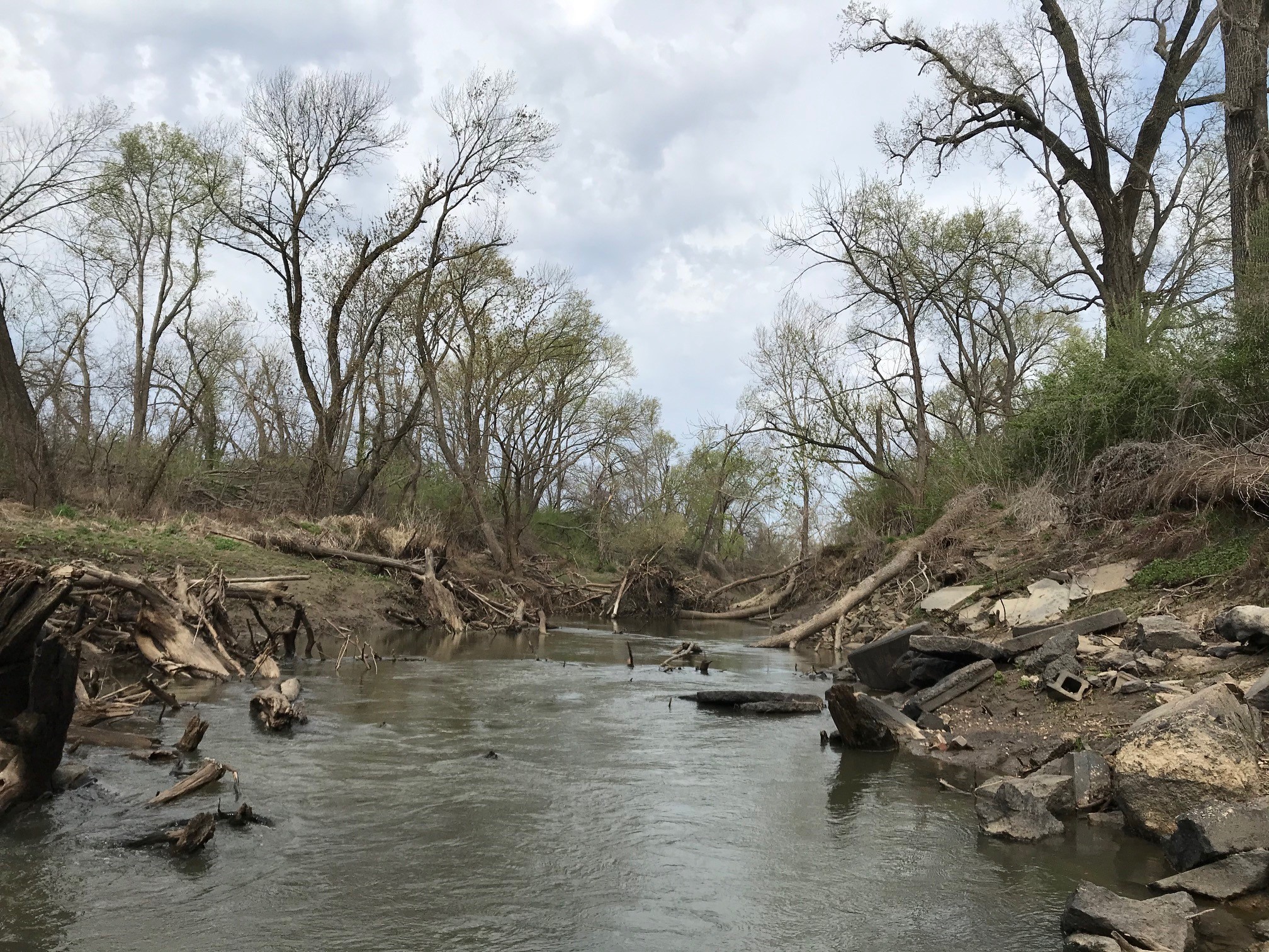 Facing upstream at the upper Wakarusa River site, 6 April 2021.