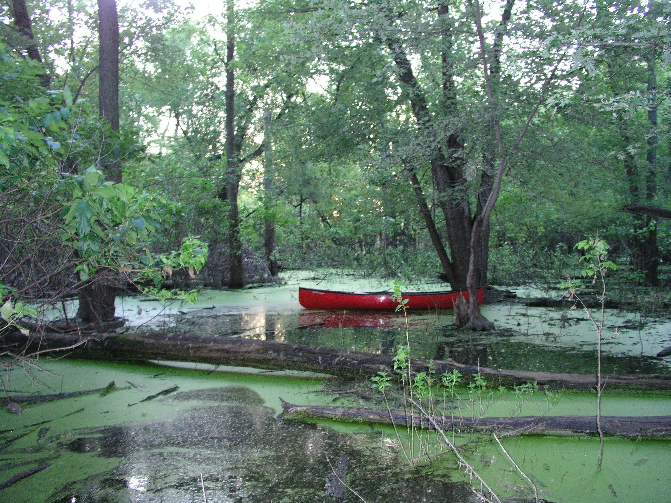 The canoe in Cut-Off Lake.