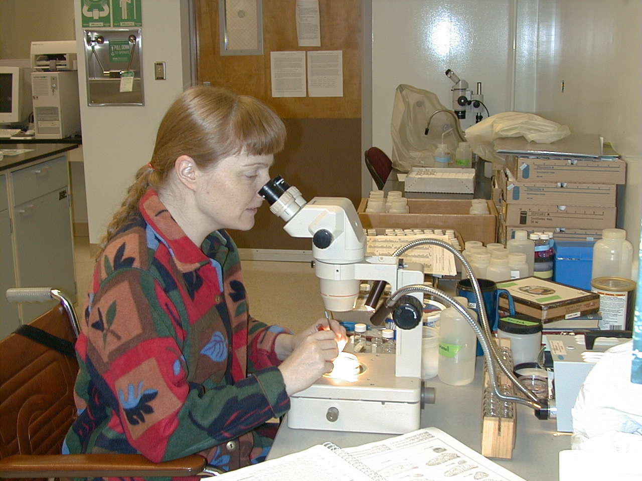 LeeAnn Bennett identifies macroinvertebrates.