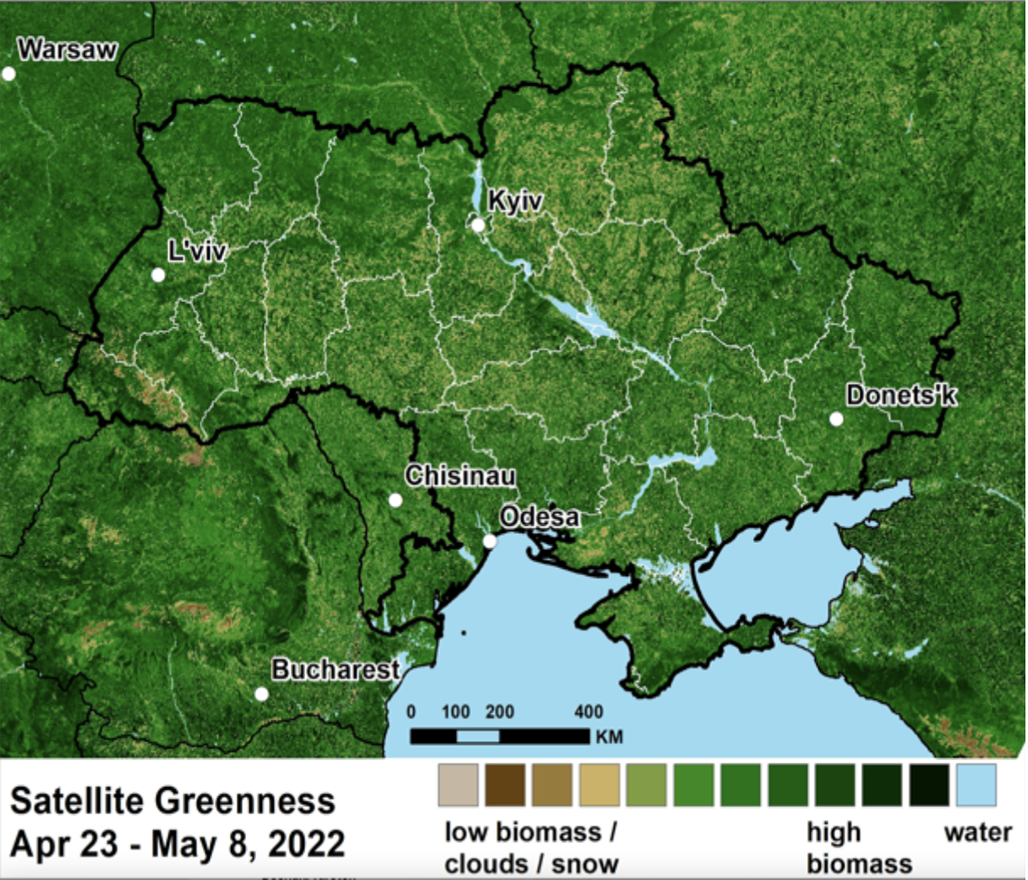 "Vegetation cover map showing satellite image of Ukraine and surrounding border region"