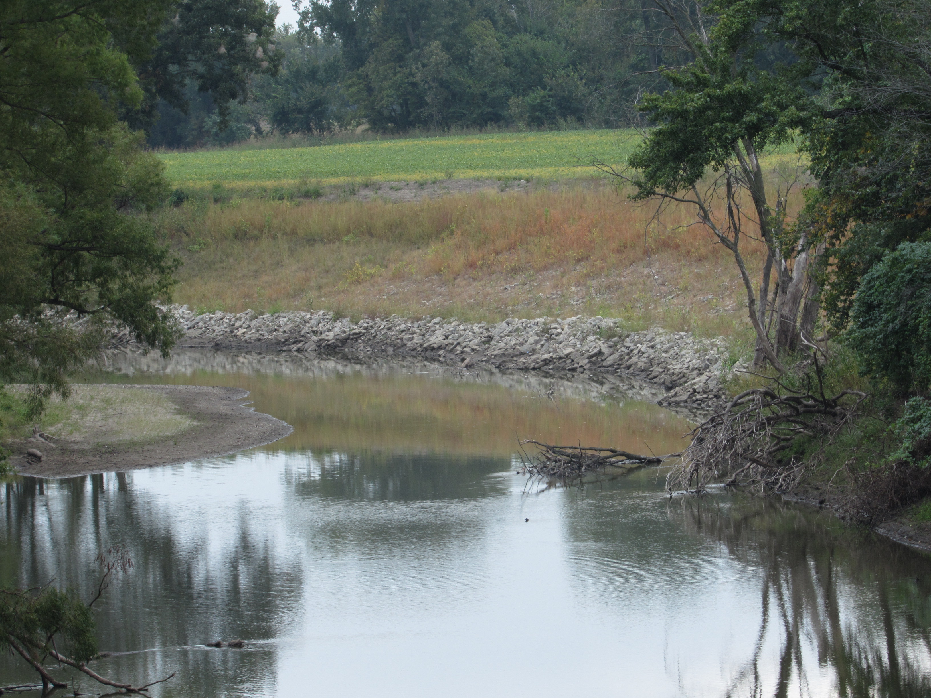 A stabilized streambank on the Cottonwood River in October 2015.