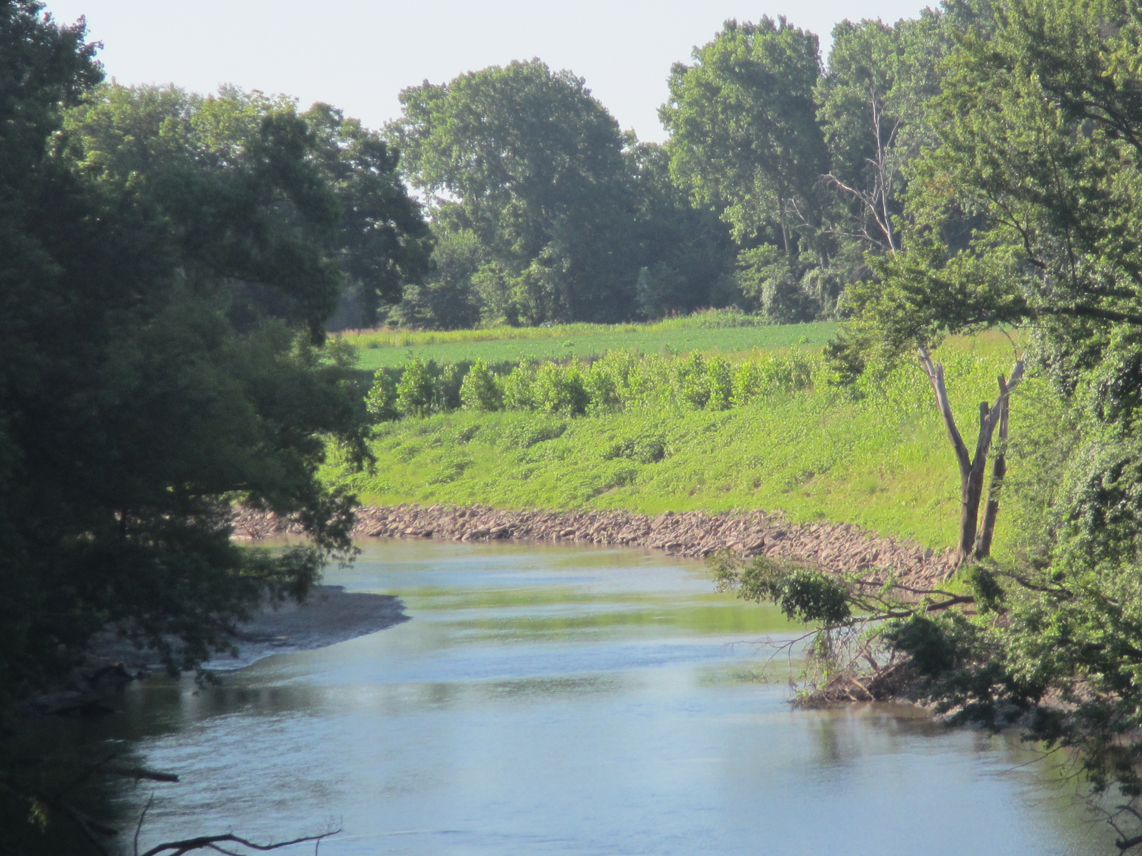 A stabilized streambank on the Cottonwood River.