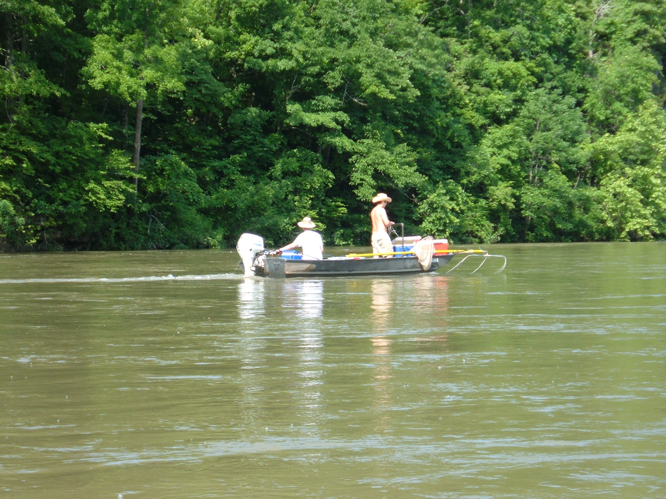 Electrofishing in the Current River, Missouri.