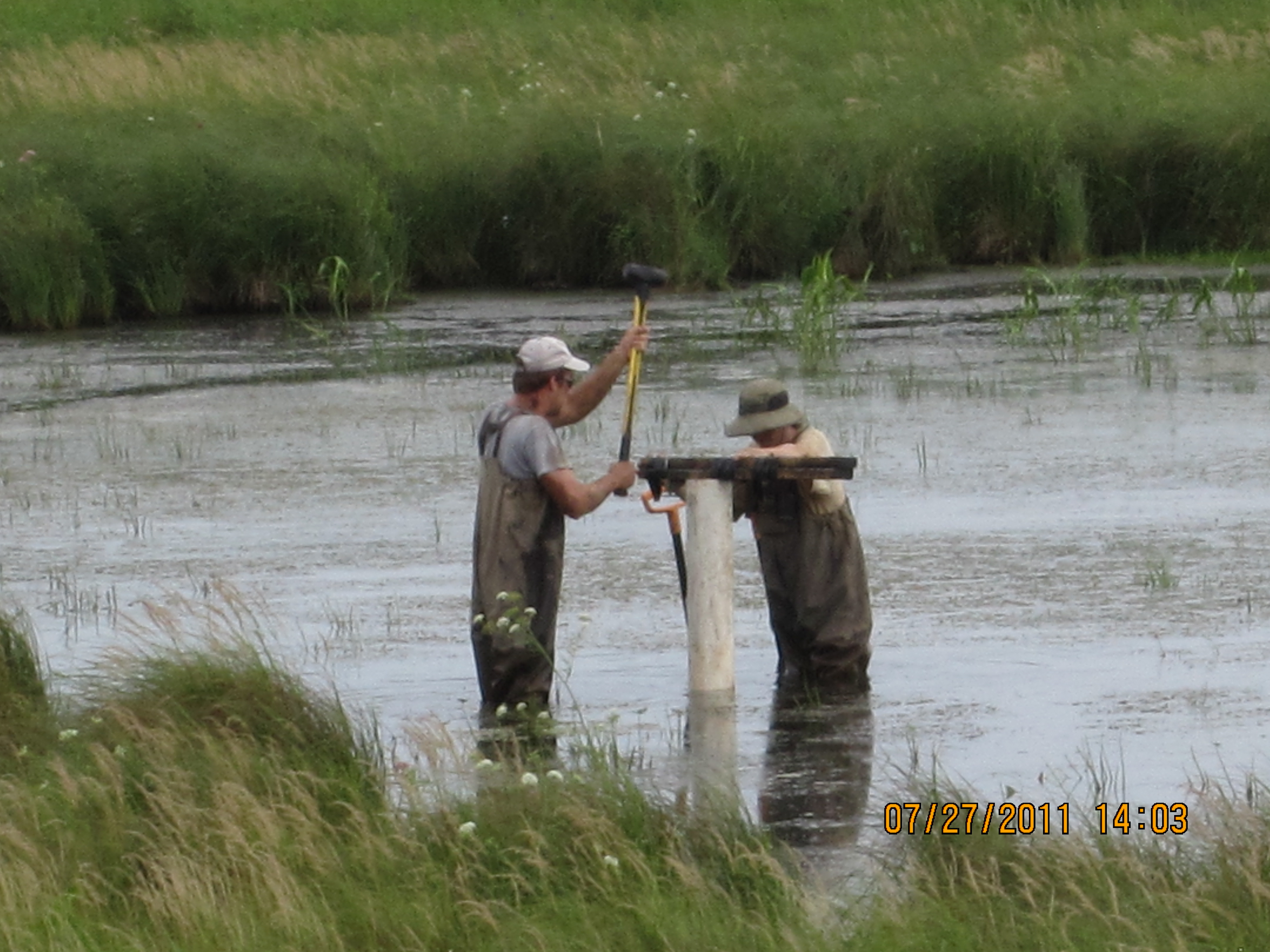 Aaron and Dan extract a sediment core from a wetland in Iowa.