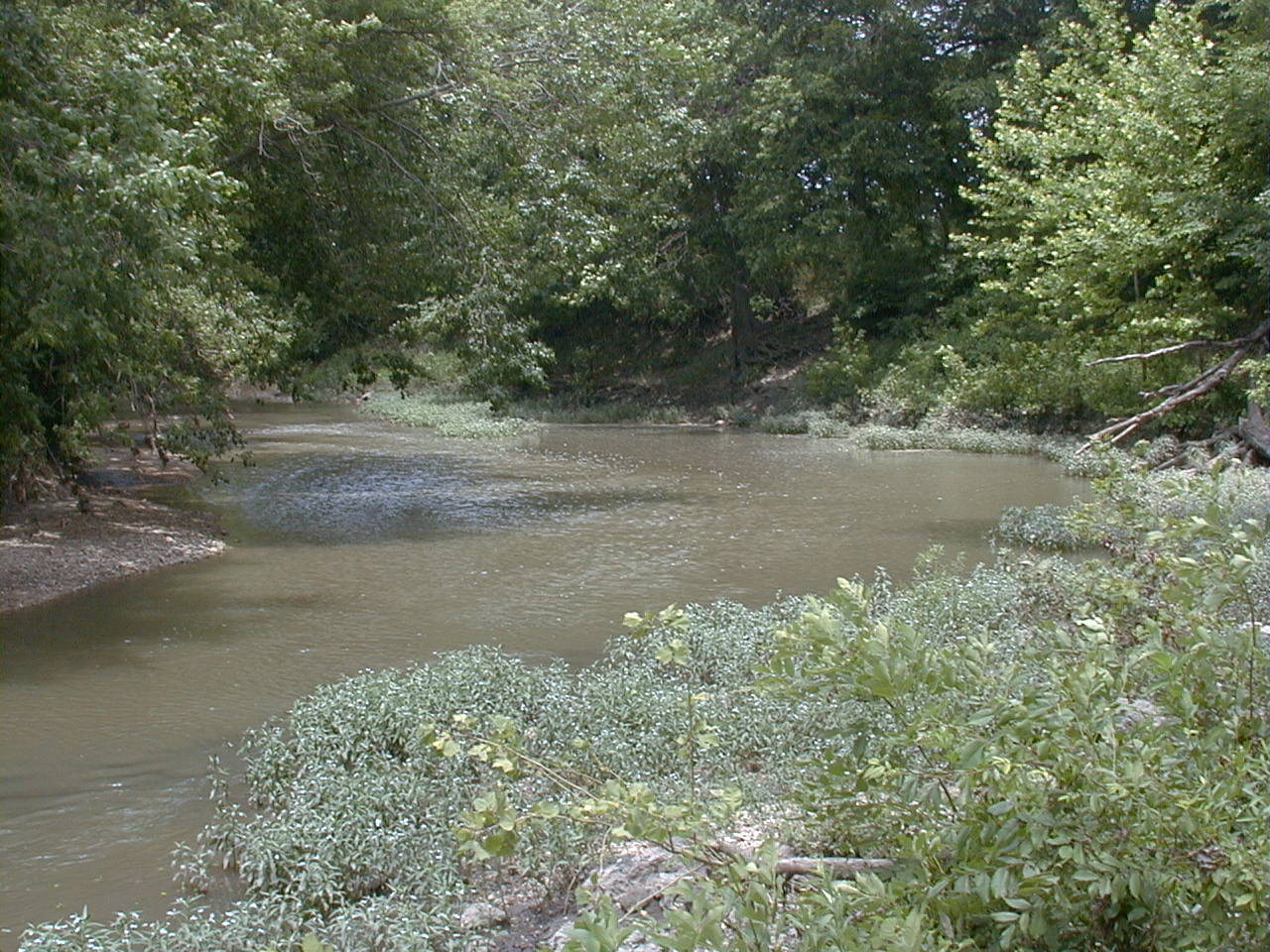 Grouse Creek in Kansas in June 2001.