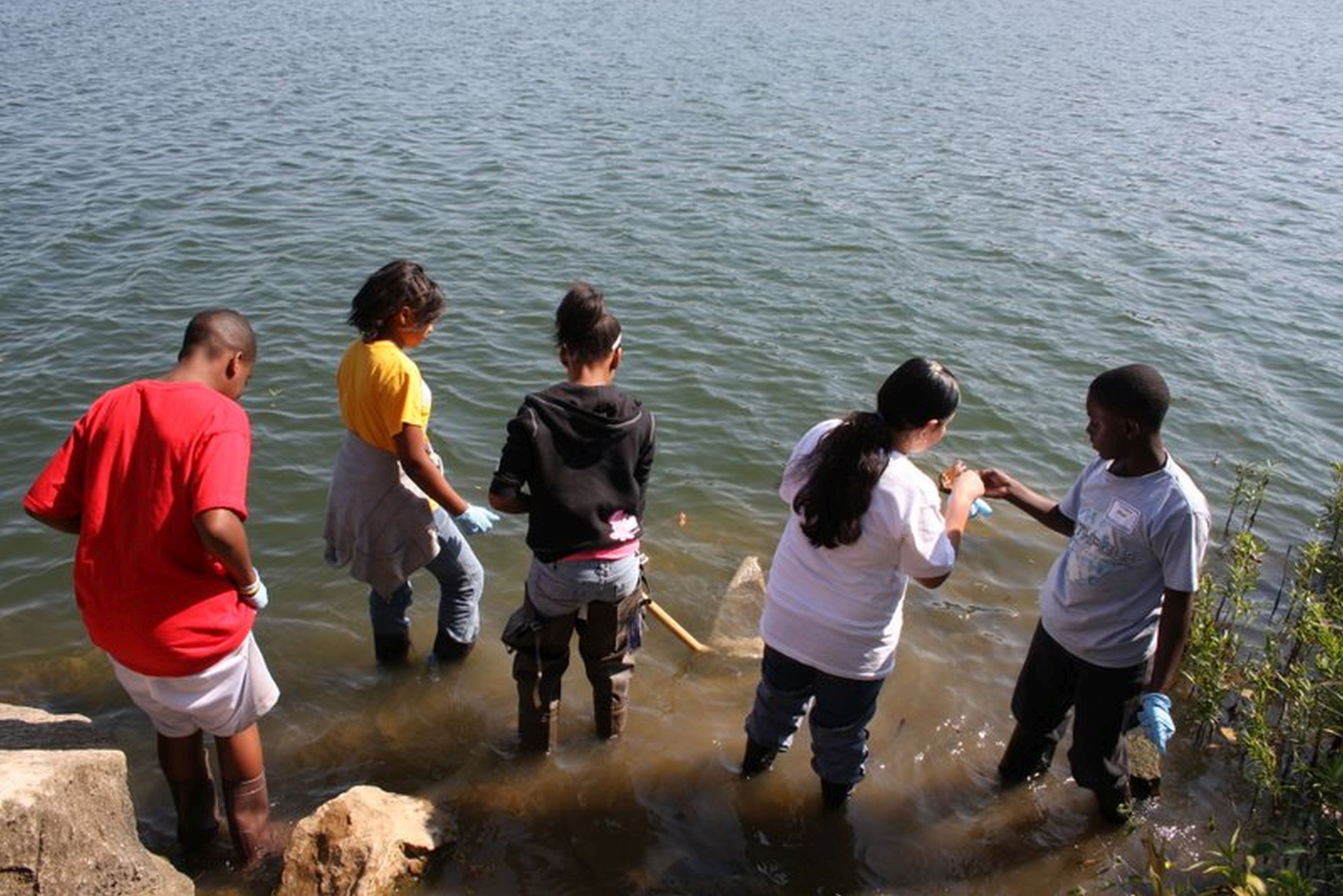 Participants look for macroinvertebrates in Wyandotte County Lake
