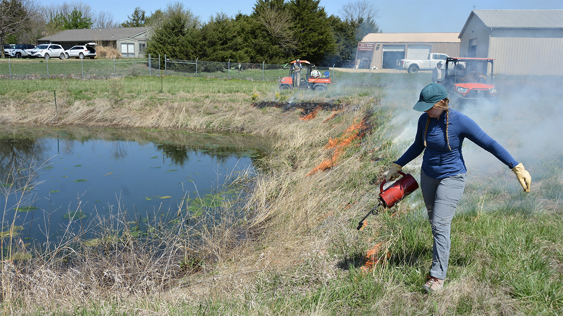 "Student with metal torch dropping fuel onto dried grasses around research pond"