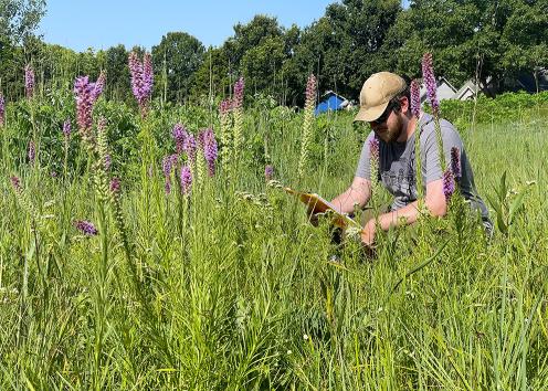 Researcher crouched with clipboard in field of wildflowers